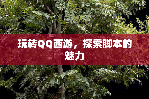 探索脚本的魅力图片
