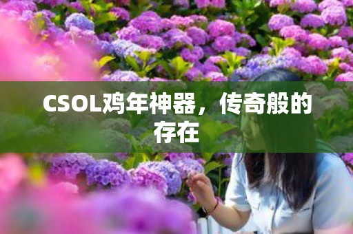 CSOL鸡年神器图片