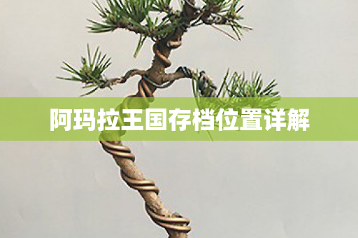 阿玛拉王国存档位置详解图片