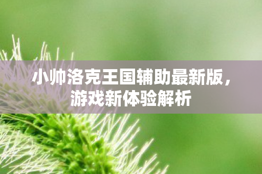 小帅洛克王国辅助最新版图片