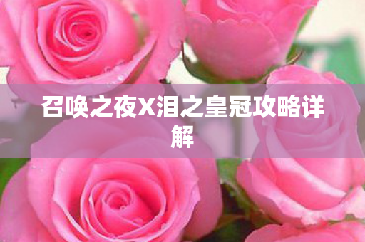 召唤之夜X泪之皇冠攻略详解图片