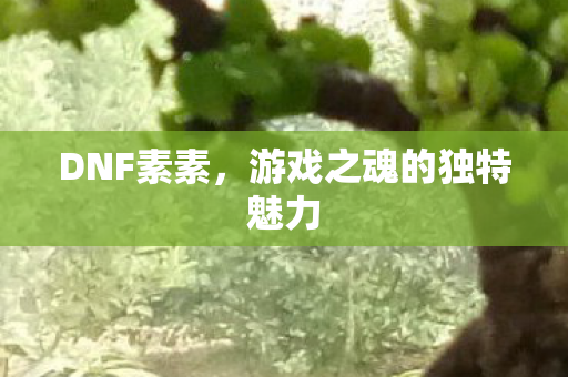 游戏之魂的独特魅力图片