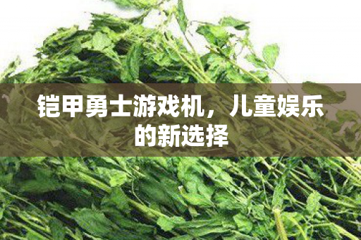 儿童娱乐的新选择图片