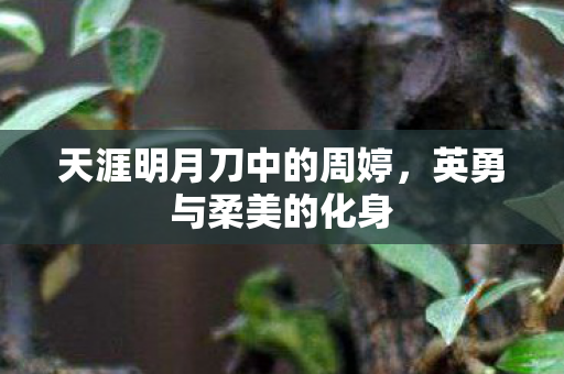 天涯明月刀中的周婷图片