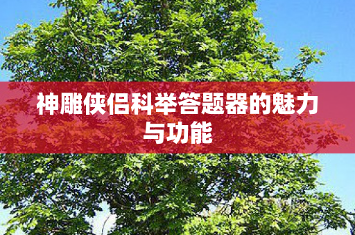 神雕侠侣科举答题器的魅力与功能图片