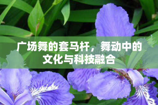 舞动中的文化与科技融合图片