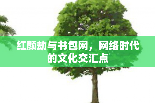 网络时代的文化交汇点图片