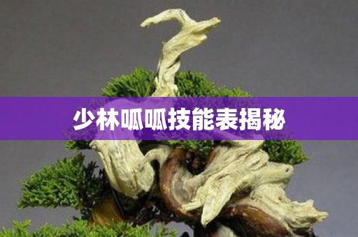 少林呱呱技能表揭秘图片