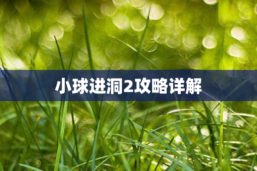 小球进洞2攻略详解图片