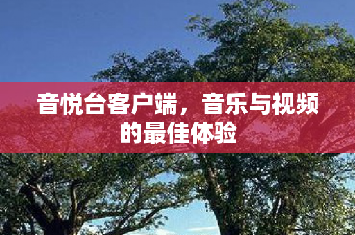 音乐与视频的最佳体验图片