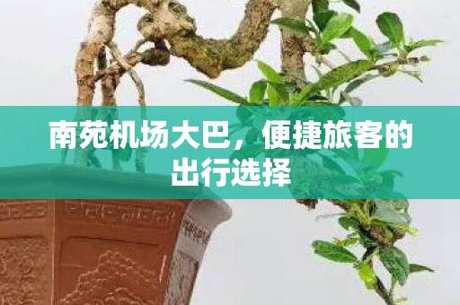 便捷旅客的出行选择图片