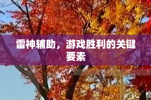 游戏胜利的关键要素图片