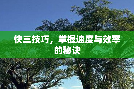 掌握速度与效率的秘诀图片
