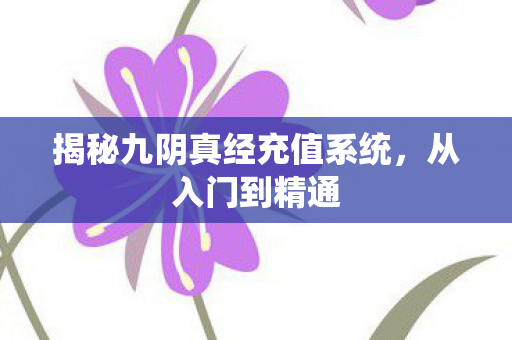 揭秘九阴真经充值系统图片