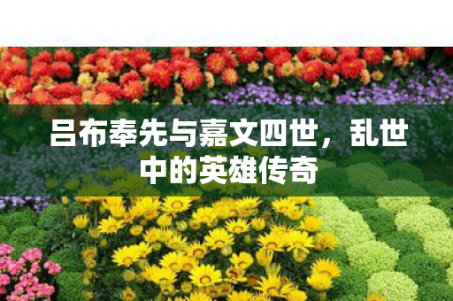 吕布奉先与嘉文四世图片