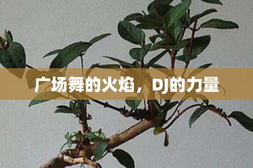 广场舞的火焰图片