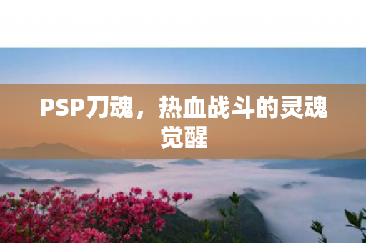 热血战斗的灵魂觉醒图片