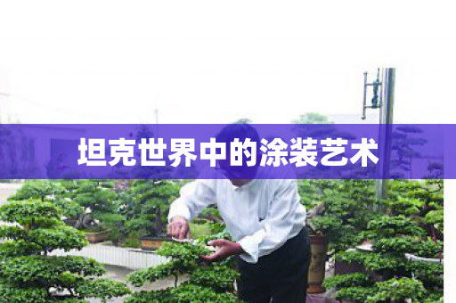 坦克世界中的涂装艺术图片