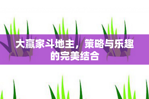 策略与乐趣的完美结合图片