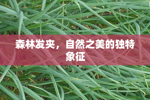 自然之美的独特象征图片