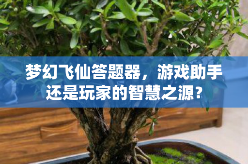 游戏助手还是玩家的智慧之源图片