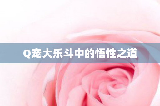 Q宠大乐斗中的悟性之道图片