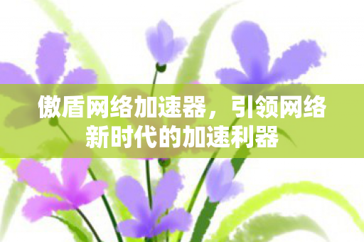引领网络新时代的加速利器图片