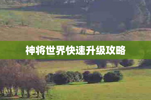 神将世界快速升级攻略图片