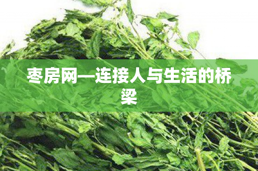 连接人与生活的桥梁图片