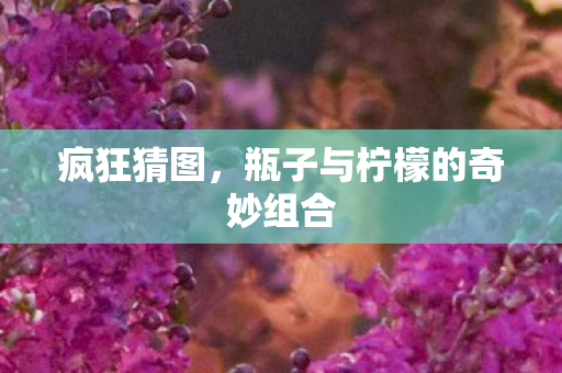 瓶子与柠檬的奇妙组合图片