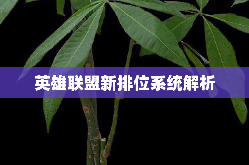 英雄联盟新排位系统解析图片
