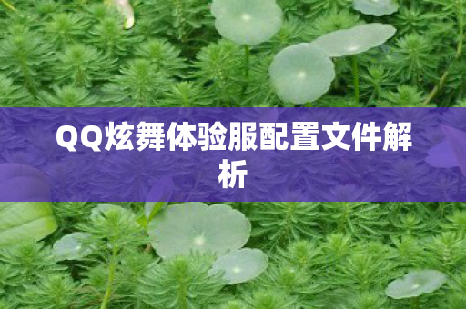 QQ炫舞体验服配置文件解析图片