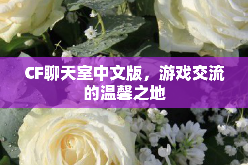 游戏交流的温馨之地图片