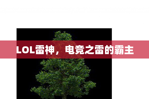电竞之雷的霸主图片
