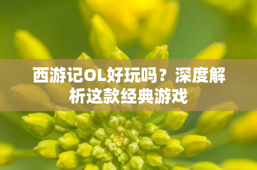 深度解析这款经典游戏图片