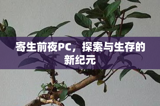 探索与生存的新纪元图片