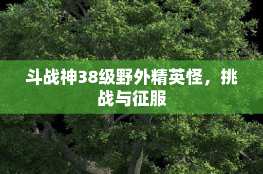 斗战神38级野外精英怪图片
