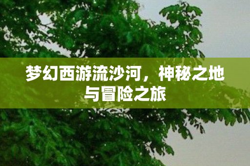 神秘之地与冒险之旅图片