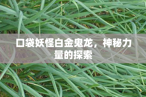 口袋妖怪白金鬼龙图片