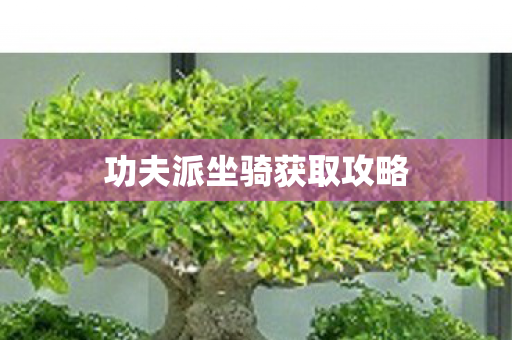 功夫派坐骑获取攻略图片