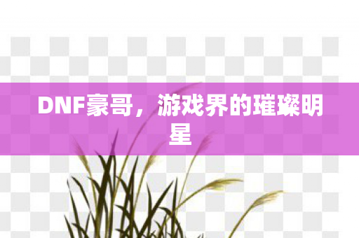 游戏界的璀璨明星图片