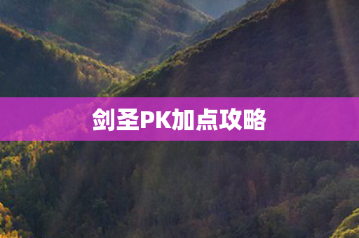 剑圣PK加点攻略图片