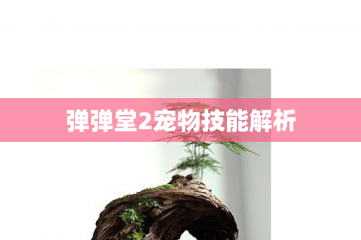 弹弹堂2宠物技能解析图片