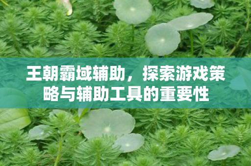 探索游戏策略与辅助工具的重要性图片