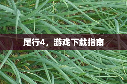游戏下载指南图片