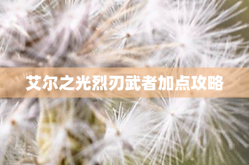 艾尔之光烈刃武者加点攻略图片