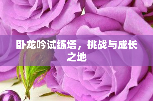 挑战与成长之地图片