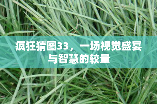 一场视觉盛宴与智慧的较量图片