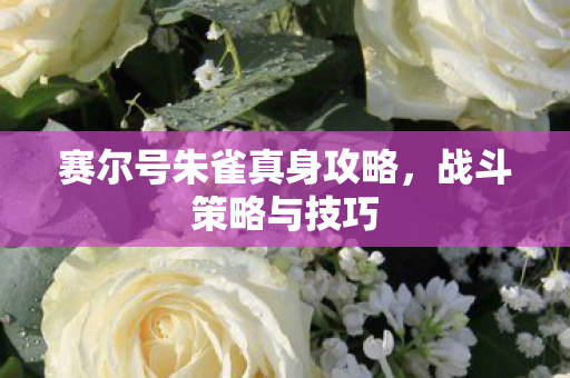 赛尔号朱雀真身攻略图片