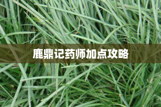 鹿鼎记药师加点攻略图片
